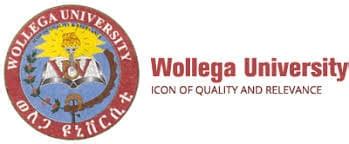 Come prepared to contribute to gatherings/meetings. . Wollega university vision and mission